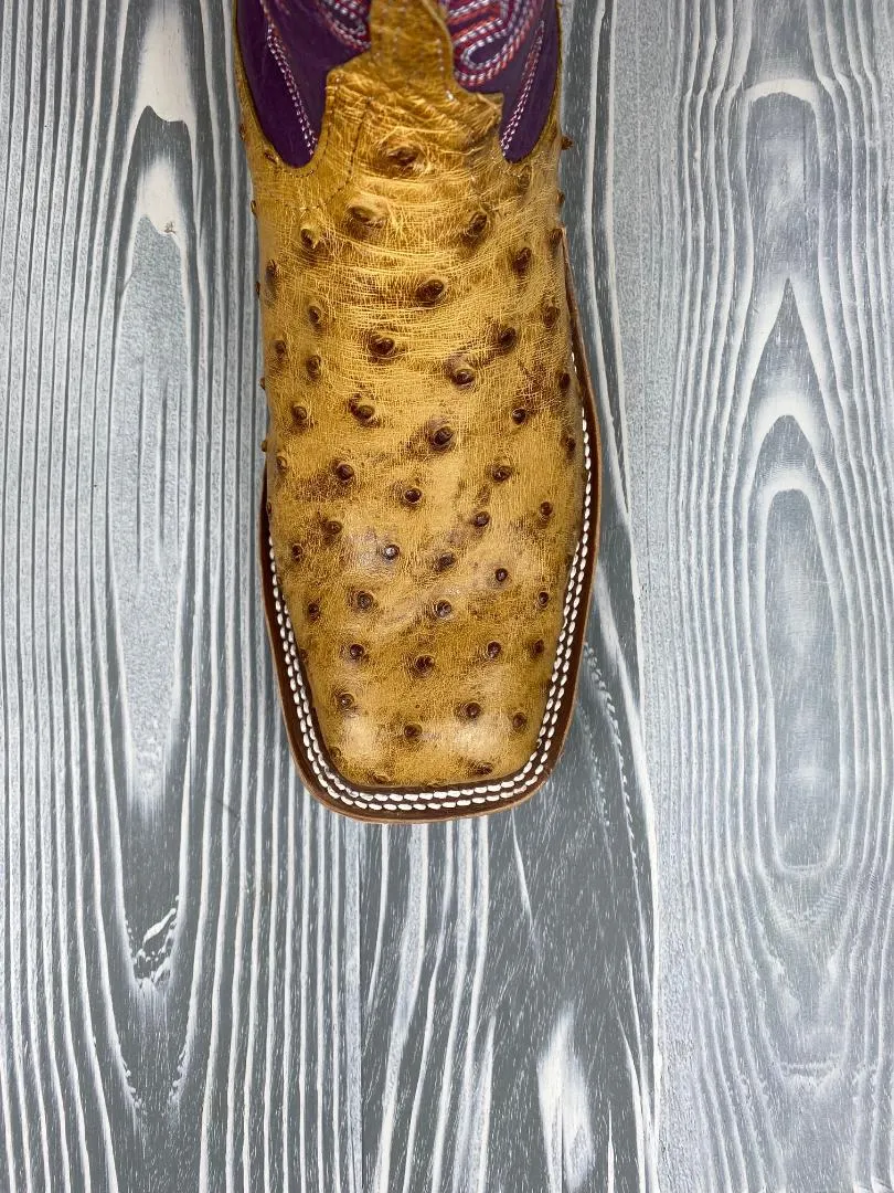 Men's Anderson Bean Umber Bruciato Full Quill Ostrich with 13" Violet Buffamonte Tops